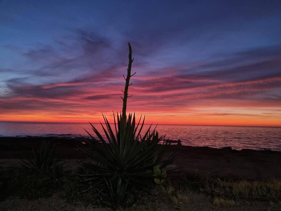 Apartamento Amaizing Flat With Sea View Torrevieja
